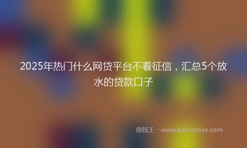 2025年热门什么网贷平台不看征信，汇总5个放水的贷款口子