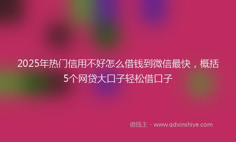 2025年热门信用不好怎么借钱到微信最快，概括5个网贷大口子轻松借口子