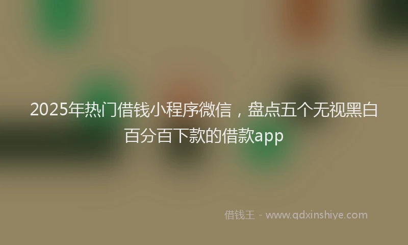 2025年热门借钱小程序微信，盘点五个无视黑白百分百下款的借款app