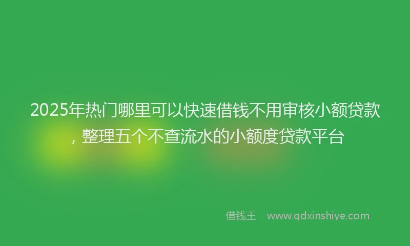 2025年热门哪里可以快速借钱不用审核小额贷款，整理五个不查流水的小额度贷款平台