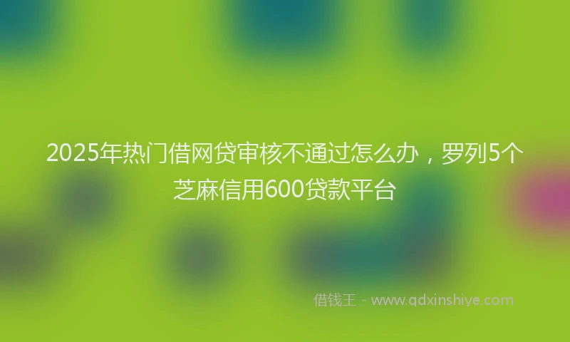 2025年热门借网贷审核不通过怎么办，罗列5个芝麻信用600贷款平台