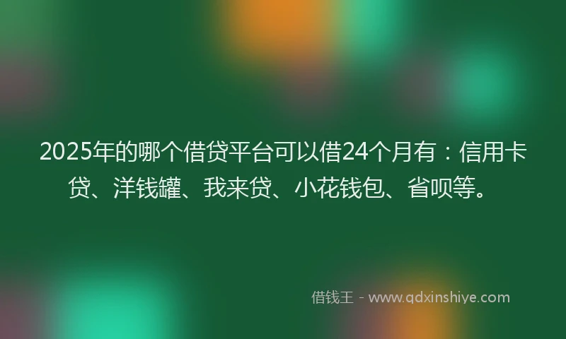 2025年的哪个借贷平台可以借24个月有：信用卡贷、洋钱罐、我来贷、小花钱包、省呗等。