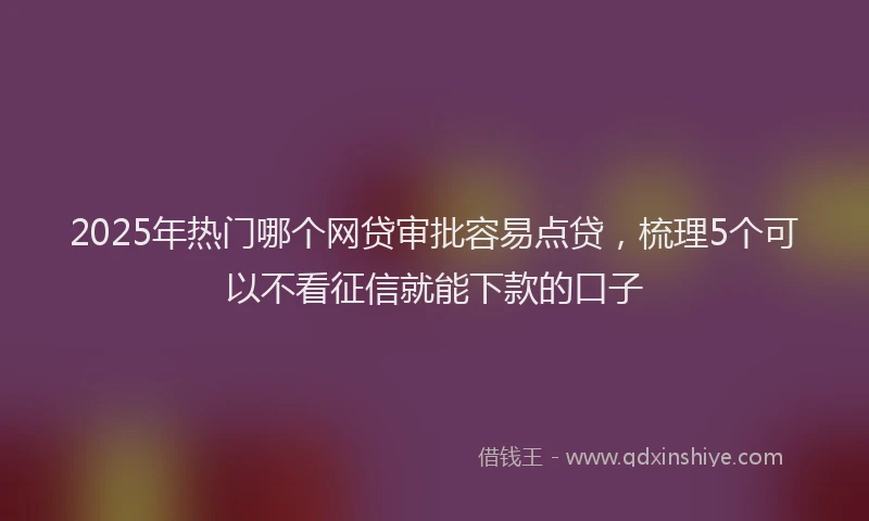 2025年热门哪个网贷审批容易点贷，梳理5个可以不看征信就能下款的口子