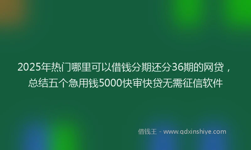 2025年热门哪里可以借钱分期还分36期的网贷，总结五个急用钱5000快审快贷无需征信软件