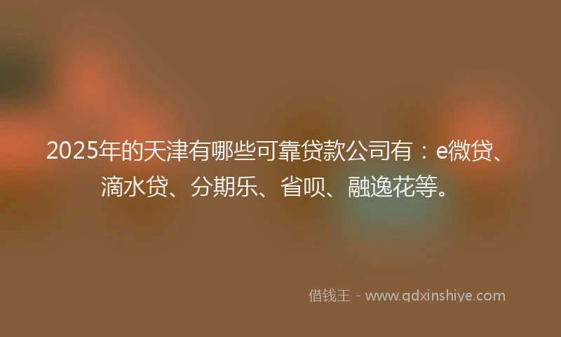 2025年的天津有哪些可靠贷款公司有：e微贷、滴水贷、分期乐、省呗、融逸花等。