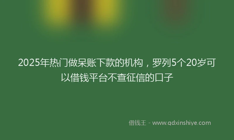 2025年热门做呆账下款的机构，罗列5个20岁可以借钱平台不查征信的口子