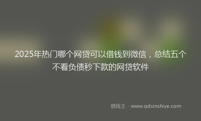 2025年热门哪个网贷可以借钱到微信，总结五个不看负债秒下款的网贷软件