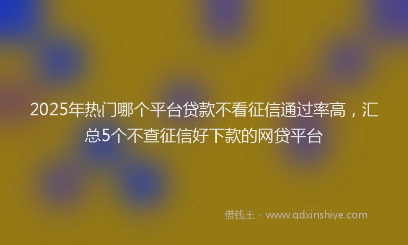 2025年热门哪个平台贷款不看征信通过率高，汇总5个不查征信好下款的网贷平台