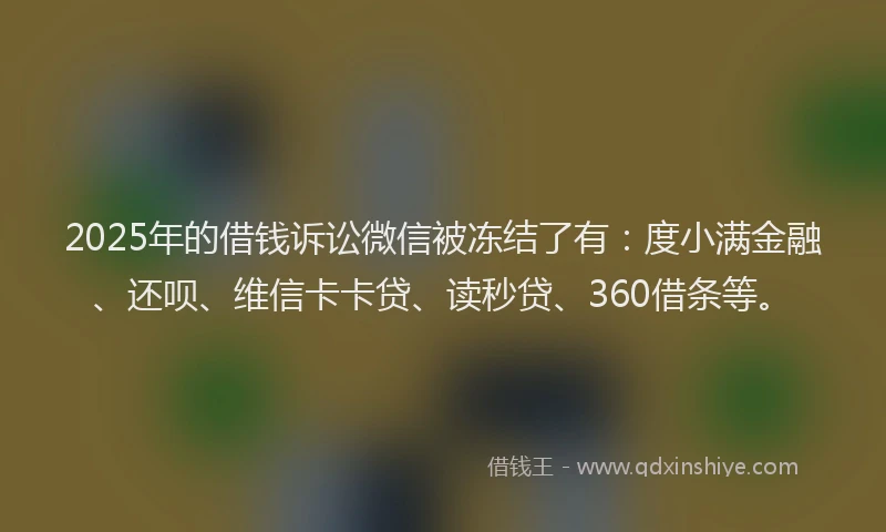 2025年的借钱诉讼微信被冻结了有：度小满金融、还呗、维信卡卡贷、读秒贷、360借条等。