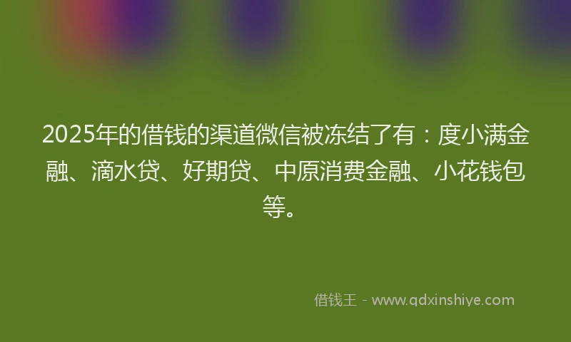 2025年的借钱的渠道微信被冻结了有：度小满金融、滴水贷、好期贷、中原消费金融、小花钱包等。