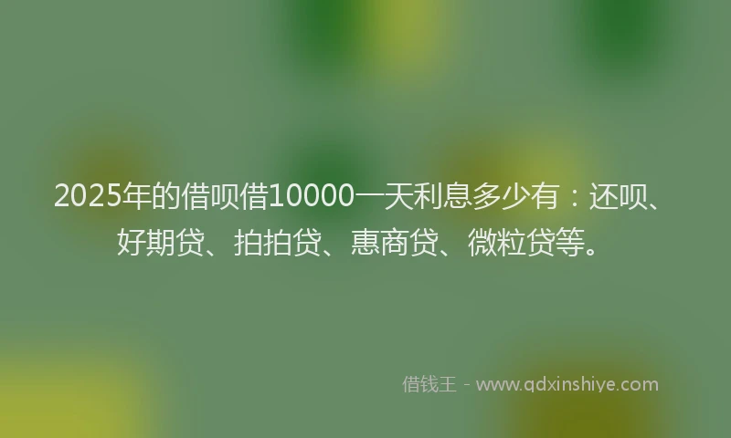2025年的借呗借10000一天利息多少有：还呗、好期贷、拍拍贷、惠商贷、微粒贷等。