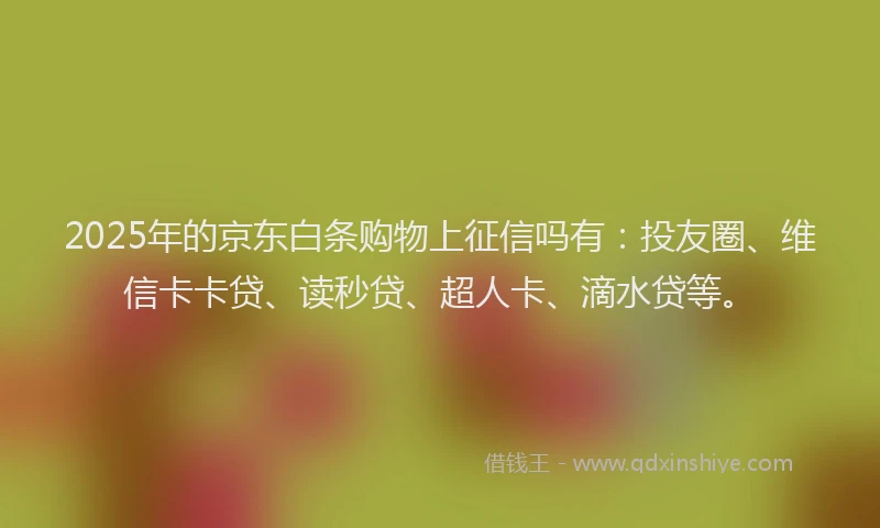 2025年的京东白条购物上征信吗有：投友圈、维信卡卡贷、读秒贷、超人卡、滴水贷等。