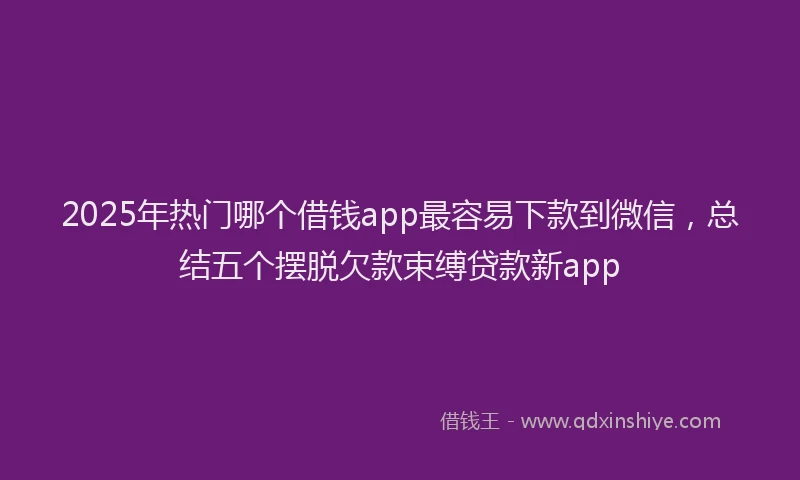 2025年热门哪个借钱app最容易下款到微信，总结五个摆脱欠款束缚贷款新app