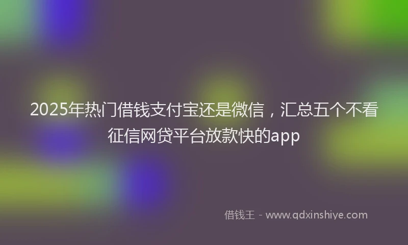 2025年热门借钱支付宝还是微信，汇总五个不看征信网贷平台放款快的app