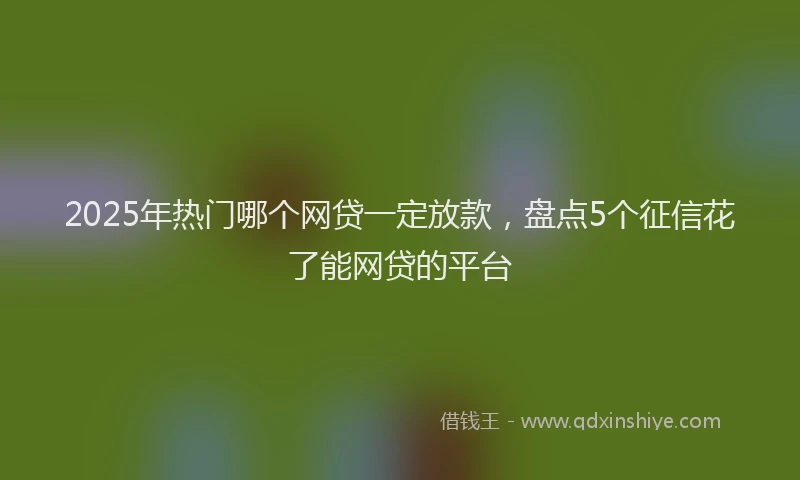 2025年热门哪个网贷一定放款，盘点5个征信花了能网贷的平台