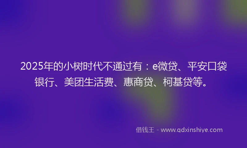 2025年的小树时代不通过有：e微贷、平安口袋银行、美团生活费、惠商贷、柯基贷等。