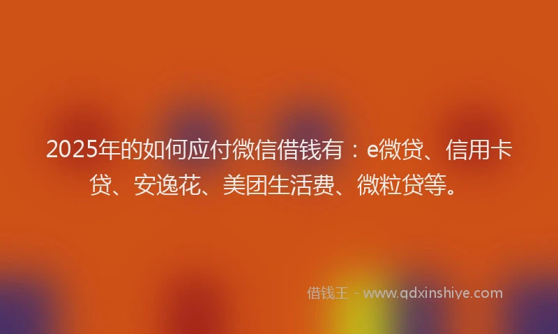 2025年的如何应付微信借钱有：e微贷、信用卡贷、安逸花、美团生活费、微粒贷等。