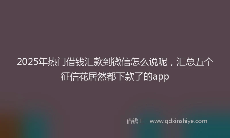 2025年热门借钱汇款到微信怎么说呢，汇总五个征信花居然都下款了的app