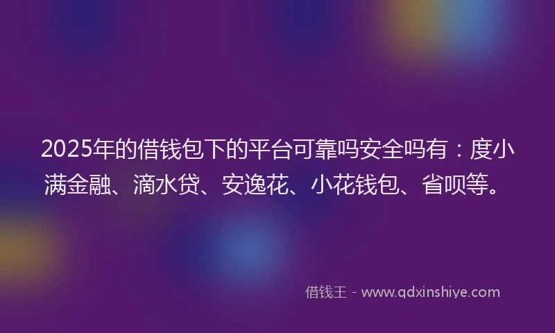 2025年的借钱包下的平台可靠吗安全吗有：度小满金融、滴水贷、安逸花、小花钱包、省呗等。