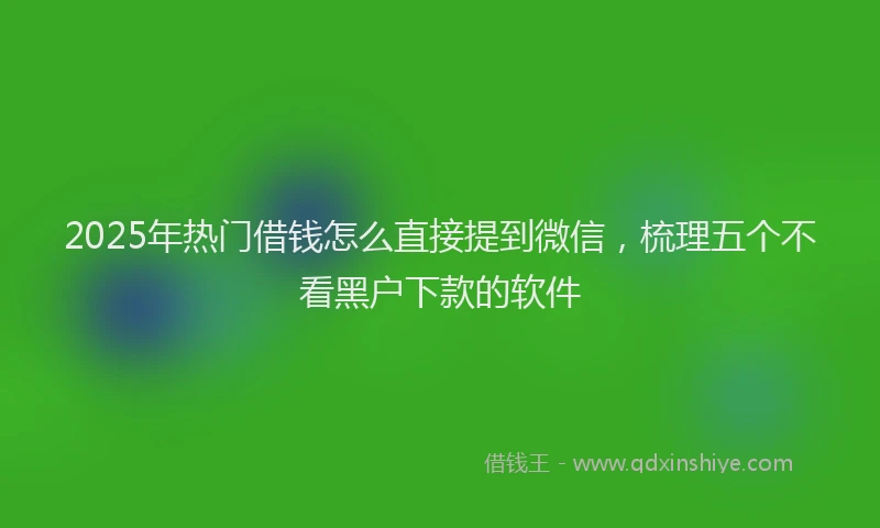 2025年热门借钱怎么直接提到微信，梳理五个不看黑户下款的软件