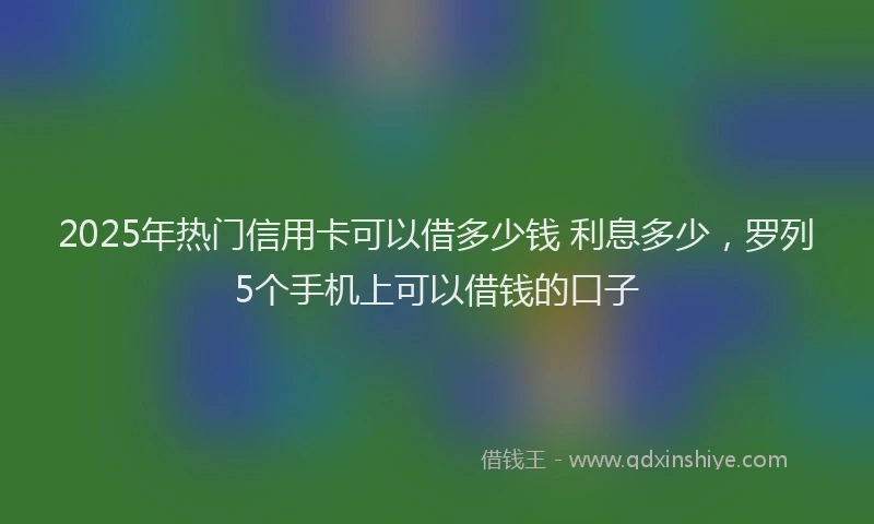2025年热门信用卡可以借多少钱 利息多少，罗列5个手机上可以借钱的口子