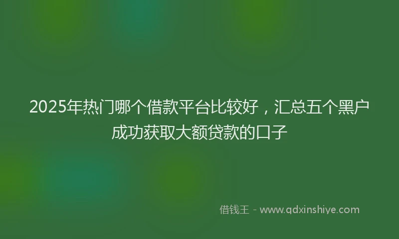 2025年热门哪个借款平台比较好，汇总五个黑户成功获取大额贷款的口子