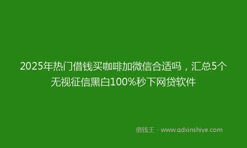 2025年热门借钱买咖啡加微信合适吗，汇总5个无视征信黑白100%秒下网贷软件
