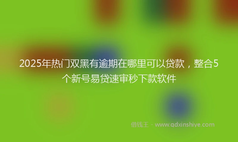2025年热门双黑有逾期在哪里可以贷款，整合5个新号易贷速审秒下款软件