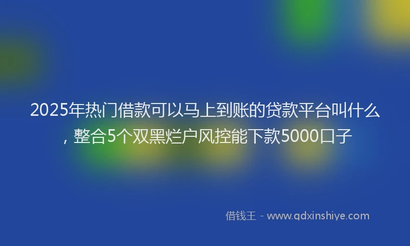 2025年热门借款可以马上到账的贷款平台叫什么，整合5个双黑烂户风控能下款5000口子