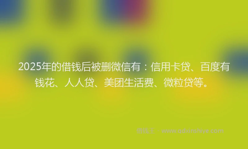 2025年的借钱后被删微信有:信用卡贷、百度有钱花、人人贷、美团生活费、微粒贷等。