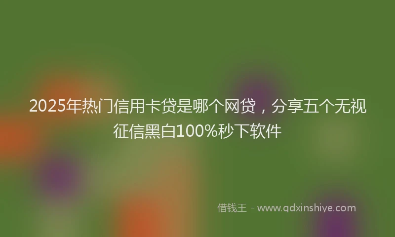 2025年热门信用卡贷是哪个网贷，分享五个无视征信黑白100%秒下软件