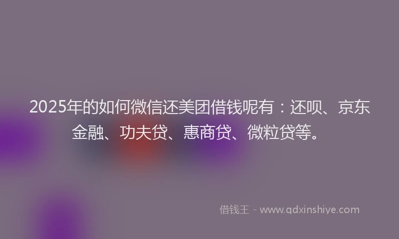 2025年的如何微信还美团借钱呢有：还呗、京东金融、功夫贷、惠商贷、微粒贷等。