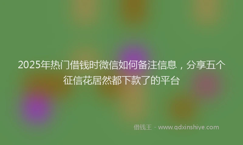 2025年热门借钱时微信如何备注信息，分享五个征信花居然都下款了的平台