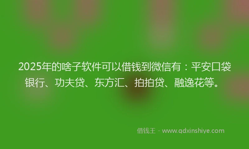 2025年的啥子软件可以借钱到微信有：平安口袋银行、功夫贷、东方汇、拍拍贷、融逸花等。