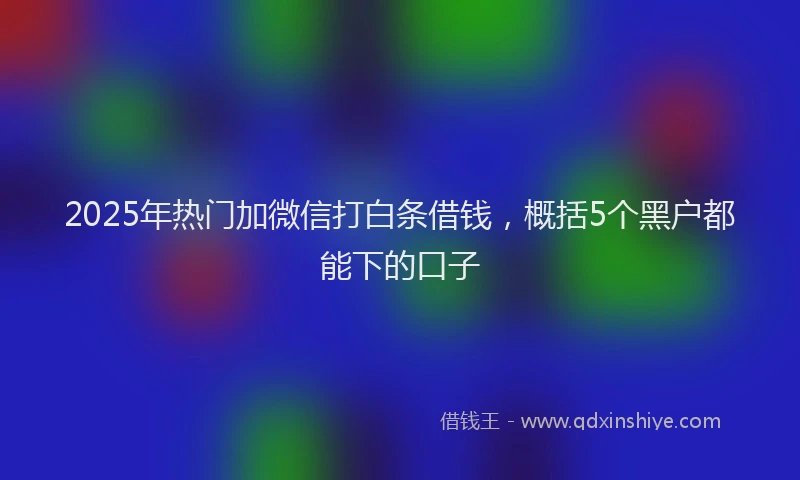 2025年热门加微信打白条借钱，概括5个黑户都能下的口子