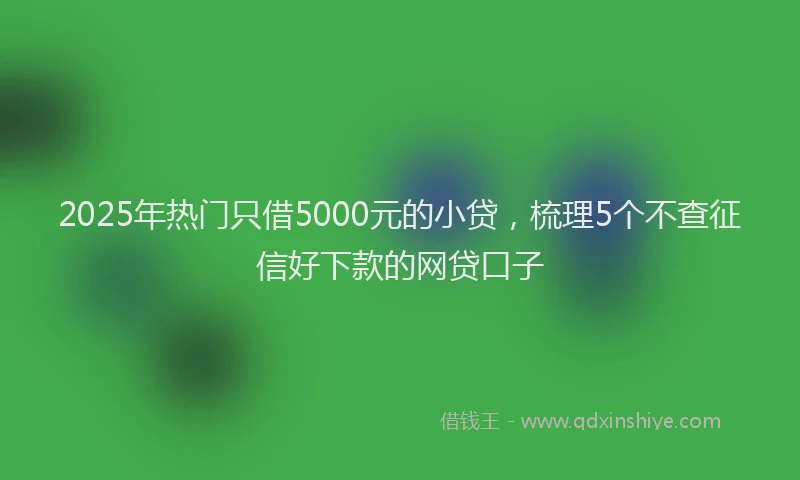 2025年热门只借5000元的小贷，梳理5个不查征信好下款的网贷口子