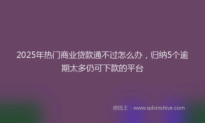 2025年热门商业贷款通不过怎么办，归纳5个逾期太多仍可下款的平台