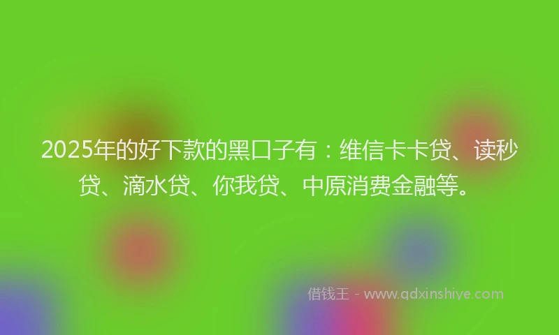 2025年的好下款的黑口子有：维信卡卡贷、读秒贷、滴水贷、你我贷、中原消费金融等。