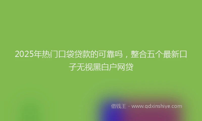 2025年热门口袋贷款的可靠吗，整合五个最新口子无视黑白户网贷