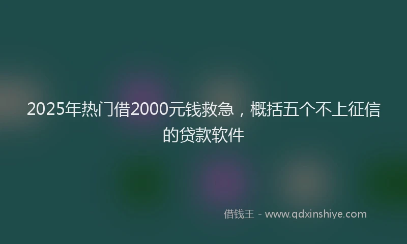 2025年热门借2000元钱救急，概括五个不上征信的贷款软件