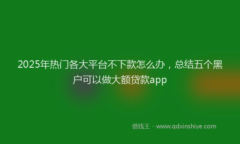 2025年热门各大平台不下款怎么办，总结五个黑户可以做大额贷款app