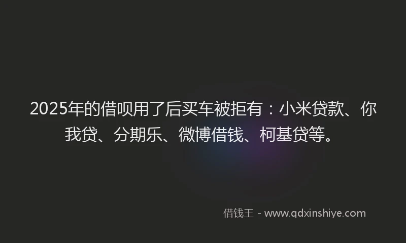 2025年的借呗用了后买车被拒有：小米贷款、你我贷、分期乐、微博借钱、柯基贷等。