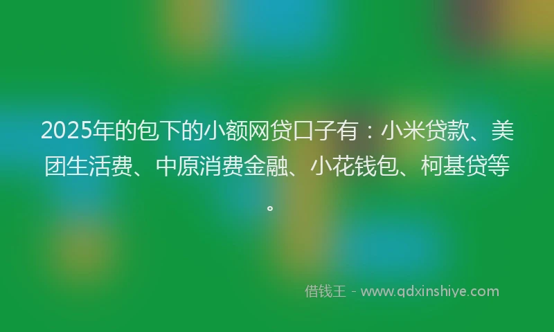 2025年的包下的小额网贷口子有：小米贷款、美团生活费、中原消费金融、小花钱包、柯基贷等。
