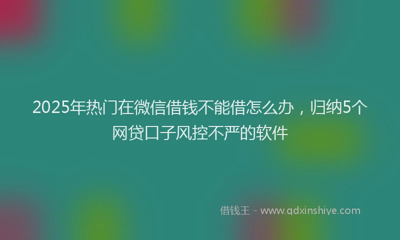 2025年热门在微信借钱不能借怎么办，归纳5个网贷口子风控不严的软件