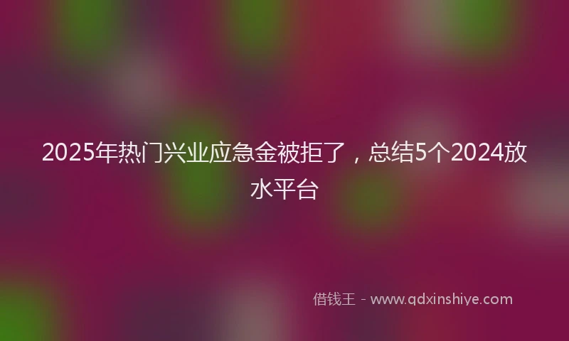 2025年热门兴业应急金被拒了，总结5个2024放水平台