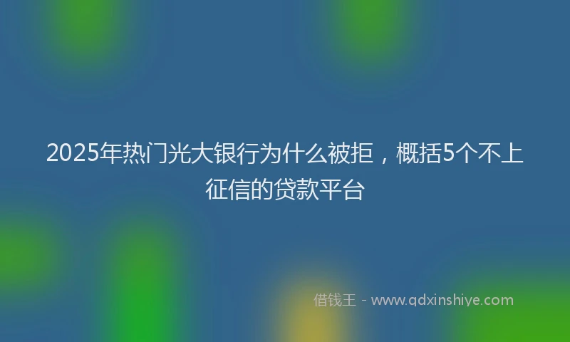 2025年热门光大银行为什么被拒，概括5个不上征信的贷款平台