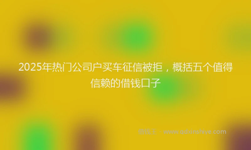 2025年热门公司户买车征信被拒，概括五个值得信赖的借钱口子