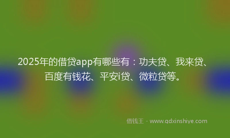 2025年的借贷app有哪些有：功夫贷、我来贷、百度有钱花、平安i贷、微粒贷等。