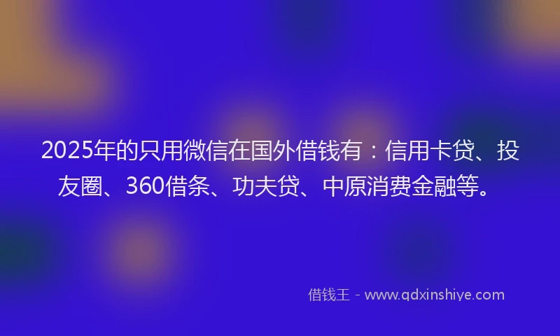 2025年的只用微信在国外借钱有：信用卡贷、投友圈、360借条、功夫贷、中原消费金融等。