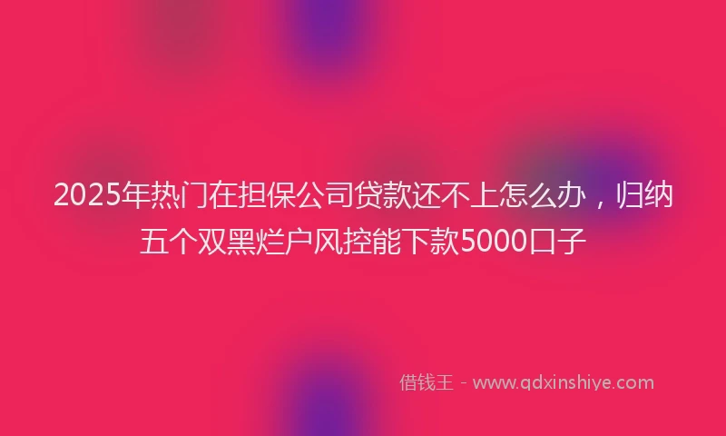 2025年热门在担保公司贷款还不上怎么办，归纳五个双黑烂户风控能下款5000口子